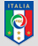 Federazione Italiana Giuoco Calcio
